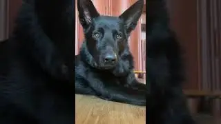 Бесит, когда говорят: 