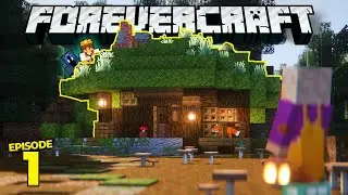 The beginning of Forevercraft