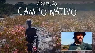 Vegetation called 