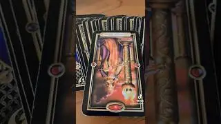 Your tarot card for today.