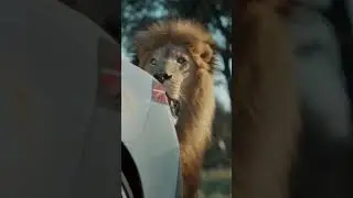No matter how wild life gets, 