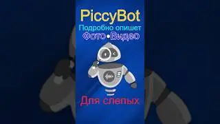 PiccyBot