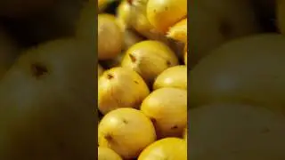 Mangoes Turning Into Chiks #ai #shortsvideo #shorts #krea #video #aitools #shorts #goviral