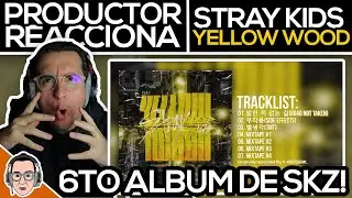 DISCOGRAFIA DE SKZ EP. 6! | Productor REACCIONA Al Álbum 