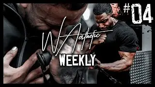AESTHETIC WEEKLY x SWENCH GANG - PLATINUM JUBLIEE