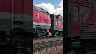 ПРИВЕТЛИВЫЙ БС