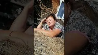 Балдеж#shorts