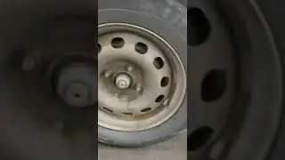 боевой конь