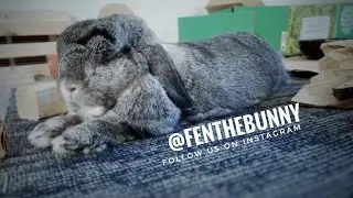 Chillin with my buddy on a Saturday Afternoon