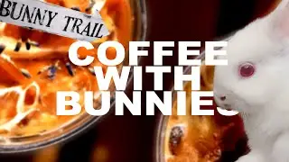 Exploring a Hidden Gem: Coffee with Bunnies at Grange Garden near San Diego 🐰☕️ | Vlog