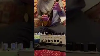 Mandolin + Hologram Electronics Microcosm