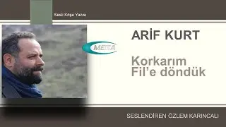 Arif Kurt Megahaber27 Korkarım Fil'e Döndük