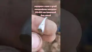впечатляющие находки.