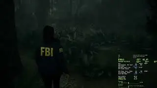 Alan Wake 2 - 1440P qDLSS - Custom - RT Off / On - 12700K RTX 3070