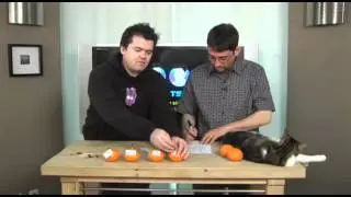 Undelete Your Files - Lab Rats #120