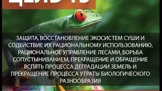 Цель №15 