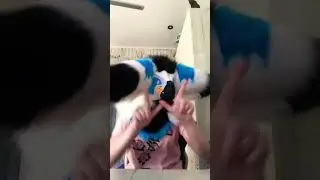 #врек