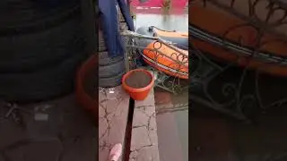 водный мир в Кургане 