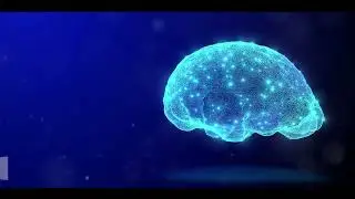 Convolutional Neural Networks (CNN) Explained!