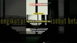 APA ITU ALPHA MALE ⁉️