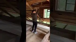 Красота в глазах смотрящего😉