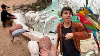 Itna Sara Nayab Birds Pahli Dafa Dakha 😍