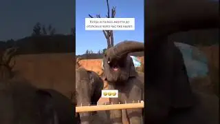 Хочу в отпуск! Индия ждёт! 