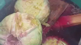 Ingredientele care împiedică varza murată să facă floare