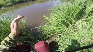Ловля ельца видео, видео rybachil.ru