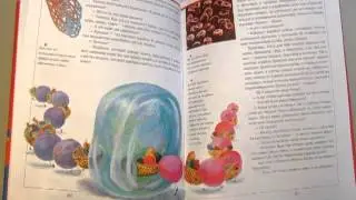 Г. Юдин. Главное чудо света. Отрывок