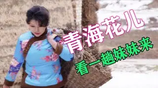 【Chinese National Music Video】青海花儿屈长英《看一趟妹妹来4K版》