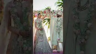 Rakul Preet and Jackky Bhagnani Wedding Pictures  #bollywood #bollywoodshorts #sumerashares