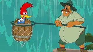 ¡Woody quiere bajar por la casada! | El Pájaro Loco | Dibujos Animados en Español