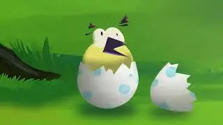 Kiwi