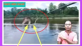 Simsang Chio Sangkni Ongkatgipara Ongbebeama?