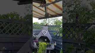 Новое украшение для сада своими руками.