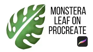 How To Draw Monstera Leaf on Procreate