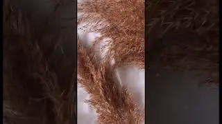 КТО ЛЮБИТ КОФЕ?#interesting#like#music#shortvideo#tiktok#рекомендации#эстетика#aesthetics#музыка