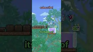 the most accessories you can equip at once...