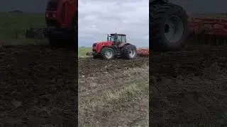 Трактор BELARUS 3522 в работе с дисковой бороной на парах #мтзказахстан#тракторбеларус#трактормтз