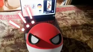 COUNTRYBALL IRL | POLANDBALL IRL