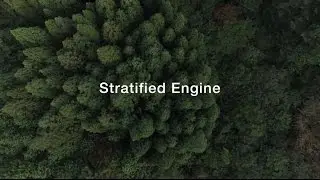 ECHO's chainsaws utilise a Stratified Engine for maximum performance and minimum emissions.