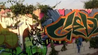 Cevek San Bernardino Graffiti