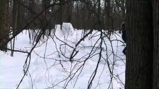снеговик