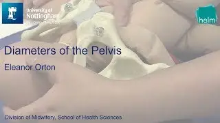 Diameters of the Pelvis