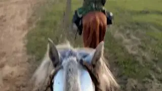 На коняшках по Горной Бурятии