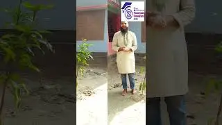 🌲গাছ লাগান পরিবেশ বাঁচান । সোনারগাঁও ইউনিভার্সিটি (এসইউ) এর ২য় সমাবর্তন-এর রেজিস্ট্রেশন চলছে #shorts
