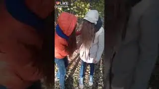 Лиза
