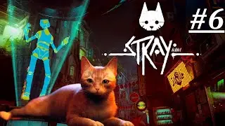 Прохождение игры Stray ПОДНИМИСЬ НА ВЕРХ ЧТОБЫ ВЫЖИТЬ