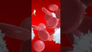 Components of Blood and their functions #educational  #sciencefacts  #animation